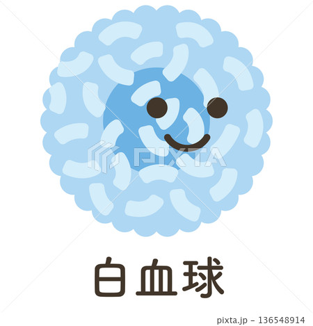白血球のイラスト（名称あり） 136548914