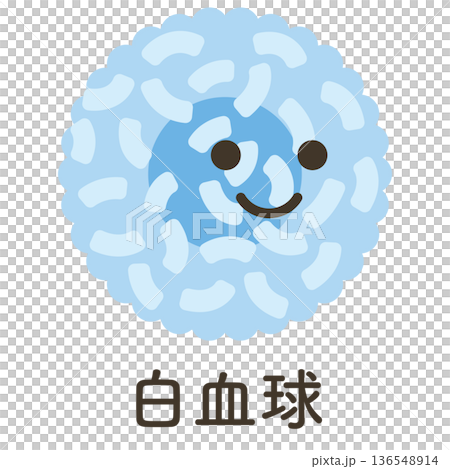白血球のイラスト（名称あり） 136548914