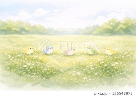 鳥シリーズ：広大な草原に佇む小さな鳥のパノラマ 136548973