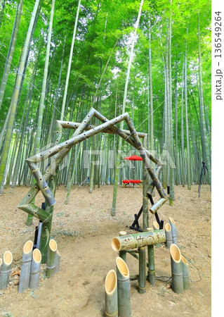 宇都宮「若山の杜 若竹農場」竹林 宇都宮「若山の杜 若竹農場」竹林 136549264