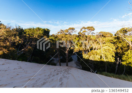 Henty Dunes in Strahan Tasmania Australia Henty Dunes in Strahan Tasmania Australia 136549452
