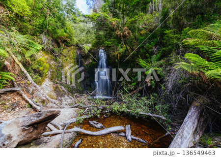 Hogarth Falls near Strahan in Tasmania Australia 136549463