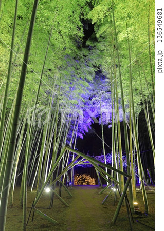 宇都宮「若竹の杜　若山農場」ライトアップ  136549681