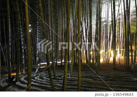 宇都宮「若竹の杜　若山農場」ライトアップ  136549683
