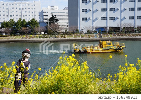 菜の花と運河を走る船　2月品川162菜の花としながわ花海道 136549913