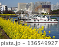 船だまりと菜の花が咲き乱れる水辺の遊歩道　2月品川176船だまりと菜の花・しながわ花海道 136549927