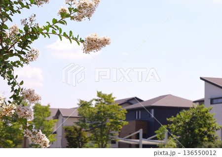 住まい、建物イメージ 136550012