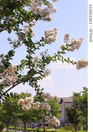 住まい、建物イメージ 136550013