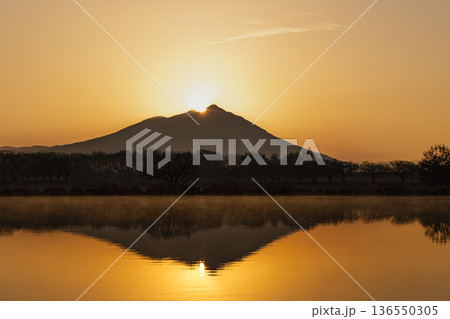 ダイアモンド筑波　 136550305