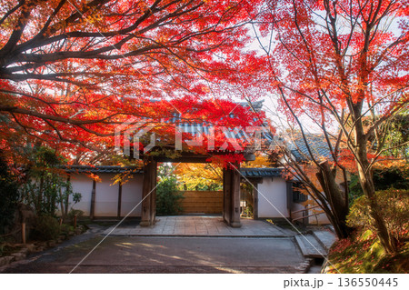 Ryoan-ji temple entrance gate with colorful fall maple leaf, Kyoto Ryoan-ji temple entrance gate with colorful fall maple leaf, Kyoto 136550445