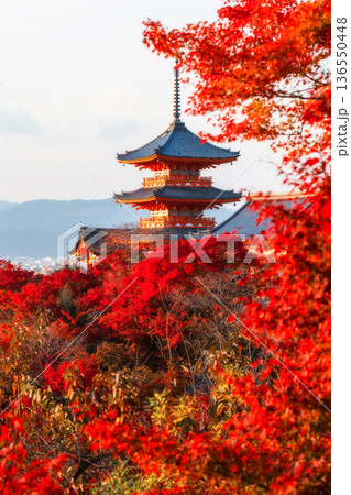 Kiyomizu-dera pagoda with red maple foilage colors in autumn, Kyoto Kiyomizu-dera pagoda with red maple foilage colors in autumn, Kyoto 136550448