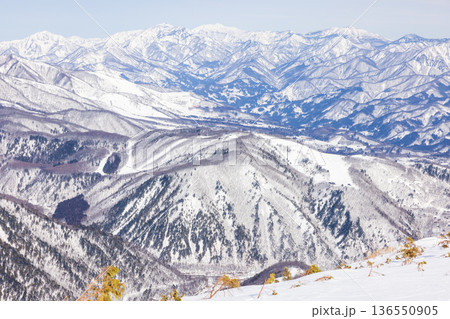 長野県白馬村の八方尾根スキー場からの山の景色 136550905