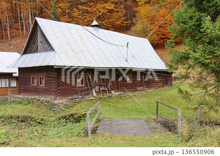 Rustic wooden house with a metal roof sits beside a small footbridge in a forest clearing 136550906