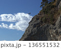 岩の上を飛ぶカモメ 136551532