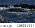 岩に打ち寄せる波 136551534