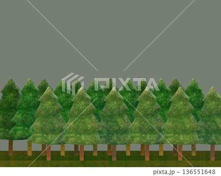 水彩風の杉の木の林の風景 水彩風の杉の木の林の風景 136551648