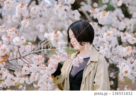 満開の桜と若い女性 136551832