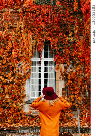 Woman in an orange sweater and a hat near a wall with wild grapes in autumn 136552188