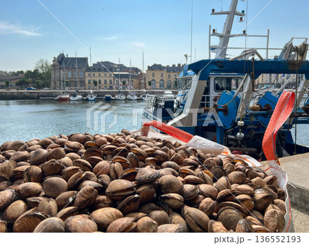 Bags with clams in the port of Dieppe 136552193