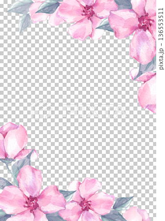 Pink floral frame with watercolor flowers and copy space Pink floral frame with watercolor flowers and copy space 136553511