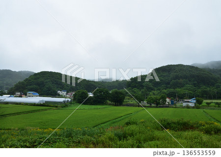 JR北海道函館本線 小樽駅から余市駅までの普通列車車窓風景(2023年夏雨) JR北海道函館本線 小樽駅から余市駅までの普通列車車窓風景(2023年夏雨) 136553559