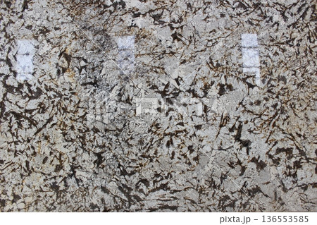 Delicatus White granite texture featuring clear white crystal patterns with evenly scattered brown and black mineral speckles. 136553585