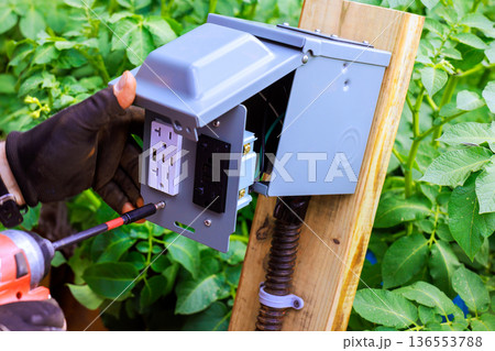 Installing outdoor electrical box while working near plants in garden Installing outdoor electrical box while working near plants in garden 136553788