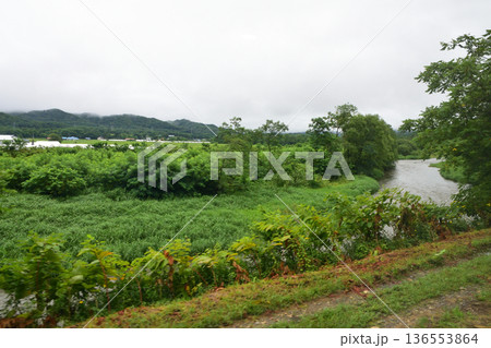 JR北海道函館本線　余市駅から銀山駅までの普通列車車窓風景(2023年夏雨) 136553864