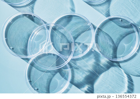 Petri dishes creating graphic shadows and light patterns on pale blue surface 136554372