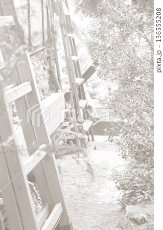 Cloud Dancer color of 2026. Monochrome photo. Trend color of the year. Greenhouse with plants and a staircase in the foreground. 136555208