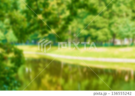 Blur natural and light background in the park. Bokeh light yellow green abstract backgrounds textures. 136555242