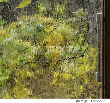 A view through a fogged window with a thermometer 136555342