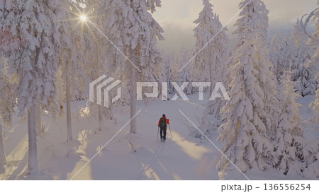 Beautiful Winter Mountain Scenery with Man on Cross-Country Skis , Aerial View 136556254