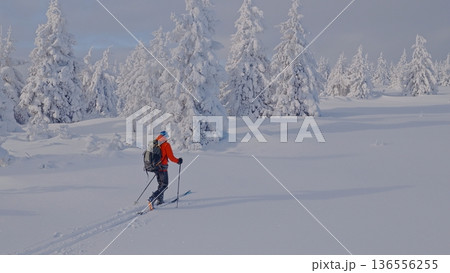 Beautiful Winter Mountain Scenery with Man on Cross-Country Skis , Aerial View 136556255
