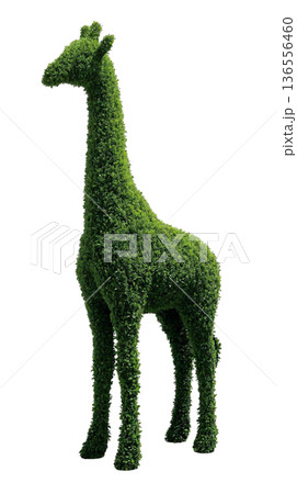 キリン型トピアリー立体アート （PNG） 136556460