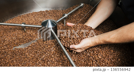 Unrecognizable male scooping roasted coffee beans above a machine drum  136556942