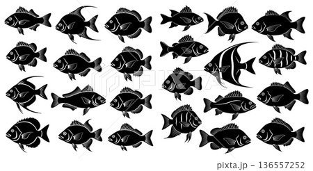 Diverse Silhouettes of Various Aquatic Fish Species Presented in a Repeating Pattern 136557252
