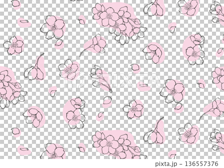シンプルな桜のパターン 136557376