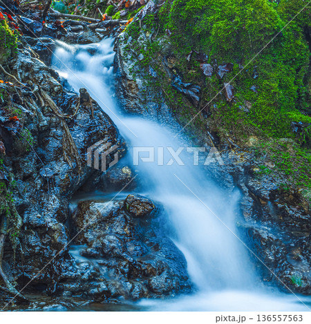 Water flows over rocks in a forest during daytime at a natural water source in autumn 136557563