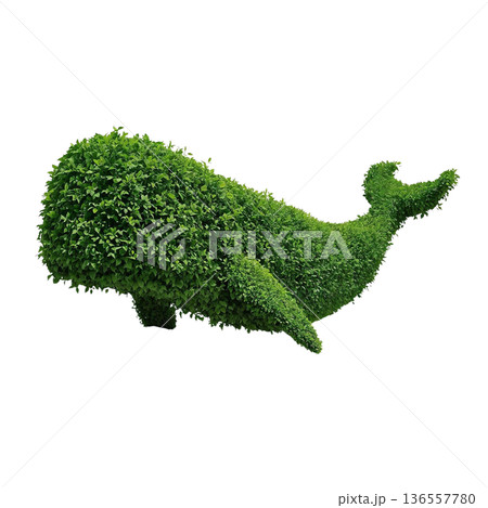 クジラ型トピアリー立体アート（PNG） 136557780