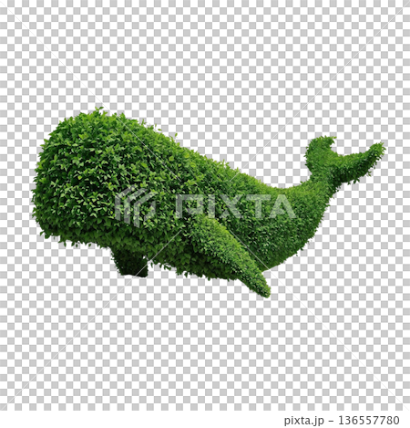 クジラ型トピアリー立体アート（PNG） 136557780