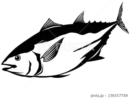 釣るならこれくらい脂の乗ったクロマグロが美味しいねクロマグロのシンプルイラスト 釣るならこれくらい脂の乗ったクロマグロが美味しいねクロマグロのシンプルイラスト 136557789