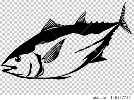 如果你打算去釣魚,像這樣肥美的藍鰭鮪魚味道鮮美。藍鰭鮪魚簡圖 如果你打算去釣魚,像這樣肥美的藍鰭鮪魚味道鮮美。藍鰭鮪魚簡圖 136557789