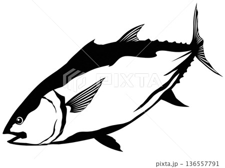 シンプルでシャープなクロマグロの切り絵イラスト 136557791