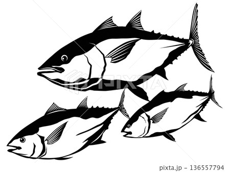 おおマグロの群れが一攫千金クロマグロの切り絵貼り絵白黒イラスト おおマグロの群れが一攫千金クロマグロの切り絵貼り絵白黒イラスト 136557794