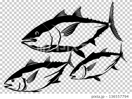おおマグロの群れが一攫千金クロマグロの切り絵貼り絵白黒イラスト おおマグロの群れが一攫千金クロマグロの切り絵貼り絵白黒イラスト 136557794