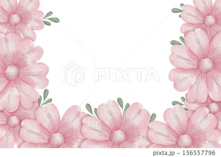 Delicate watercolor floral frame with pink daisies and green leaves with central text space, white background, for romantic wedding invitations, cheerful birthday cards, and elegant party stationery 136557796