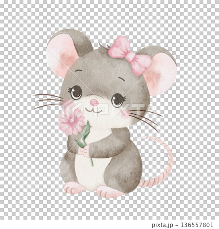 Watercolor illustration of cute mouse with pink bow, holding flower in its paws. Isolated on white background. Perfect for children's projects, greeting cards, nursery decor and packaging design Watercolor illustration of cute mouse with pink bow, holding flower in its paws. Isolated on white background. Perfect for children's projects, greeting cards, nursery decor and packaging design 136557801