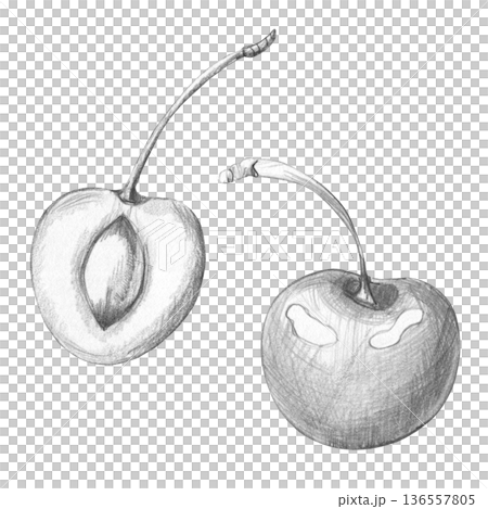 Detailed monochrome pencil drawing of two realistic cherries, whole and sliced with visible pit on white background, ideal for botanical art, culinary design projects, and vintage food packaging Detailed monochrome pencil drawing of two realistic cherries, whole and sliced with visible pit on white background, ideal for botanical art, culinary design projects, and vintage food packaging 136557805