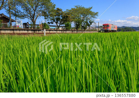 田んぼの中にぽつんと佇む播磨横田駅に到着する北条鉄道の気動車 田んぼの中にぽつんと佇む播磨横田駅に到着する北条鉄道の気動車 136557880